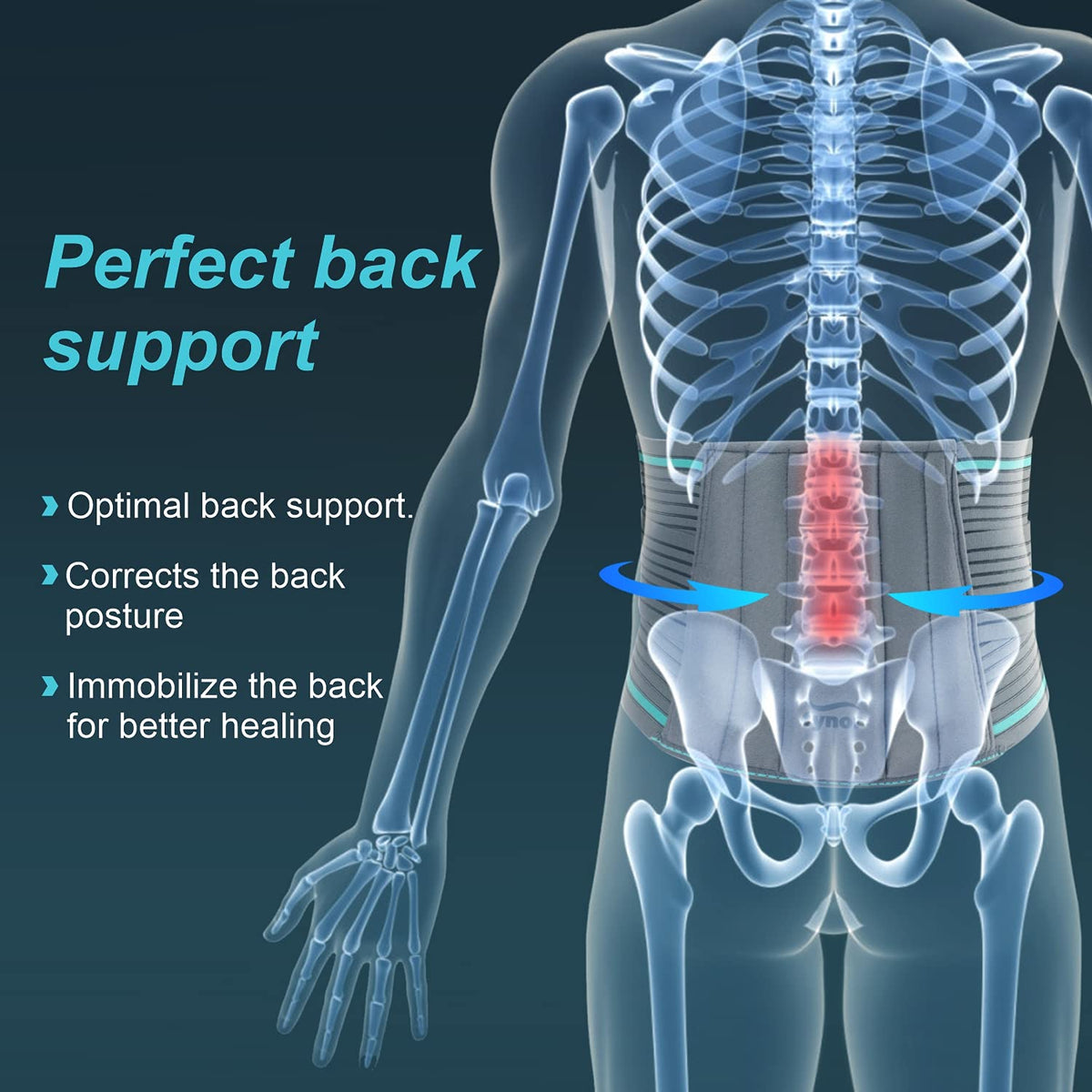 Lower back pain belt Australia-6