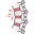 Cervical spine injuries