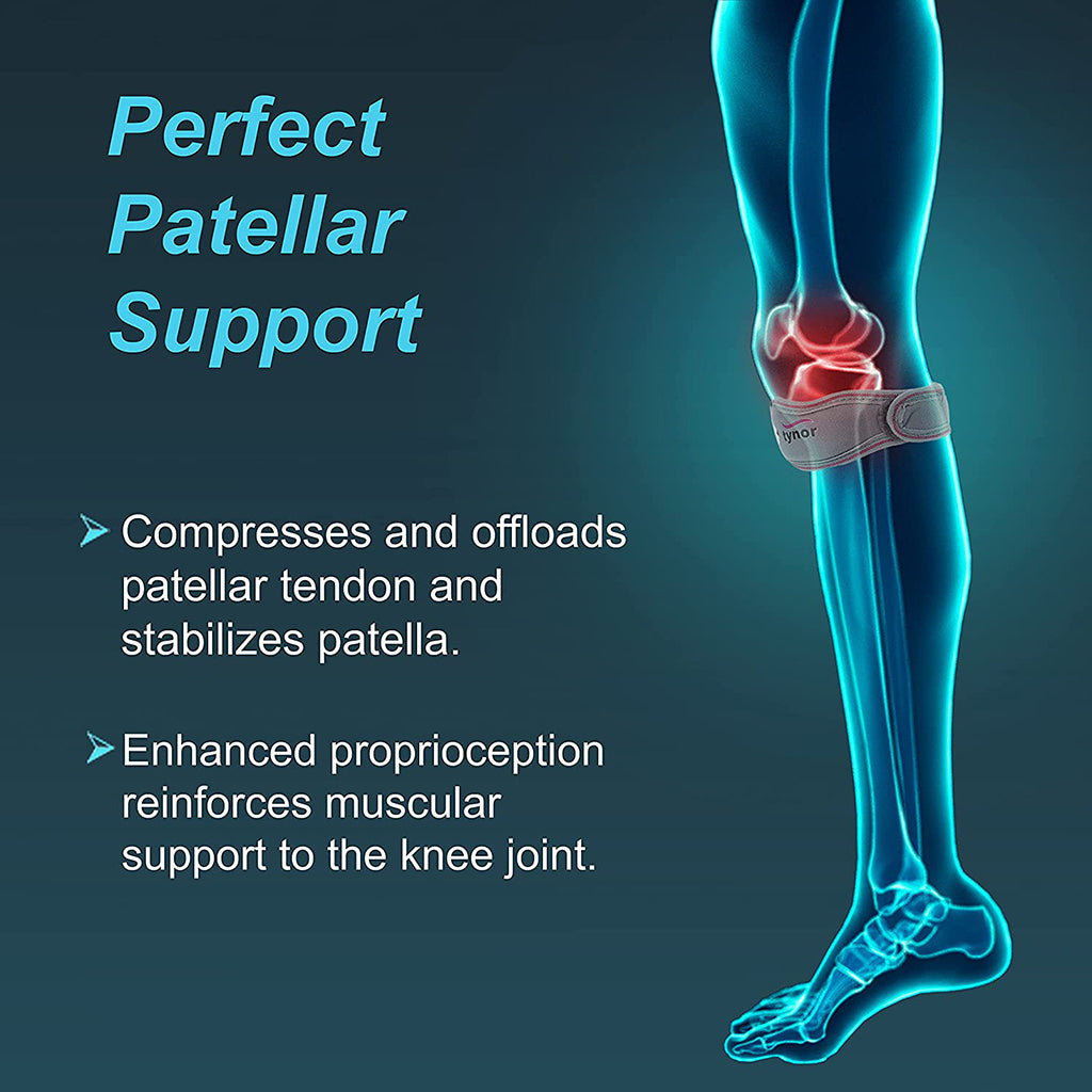 AHS Patella Knee Strap-11